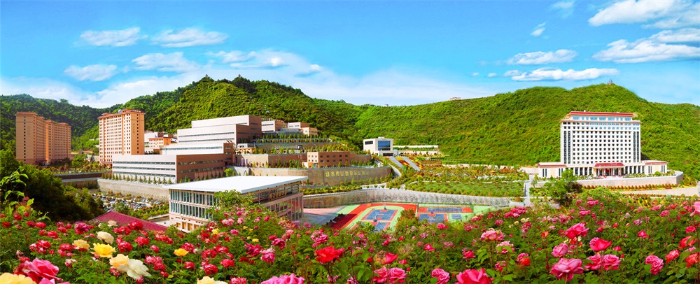 三季有花、四季常青的金徽股份.jpg