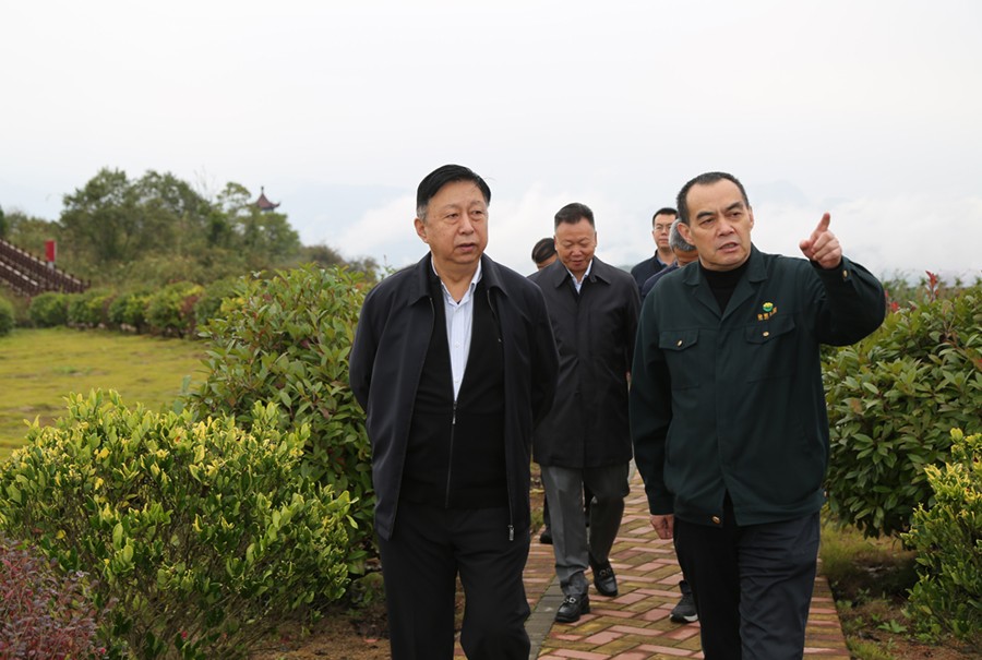 19-2021年10月，原國土資源部副部長汪民蒞臨公司調(diào)研。.jpg
