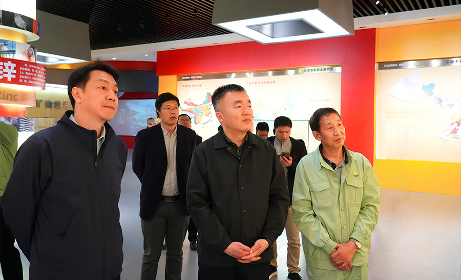 10.4-2024年04月，自然資源部礦保司副司長王博蒞臨公司調(diào)研。.jpg