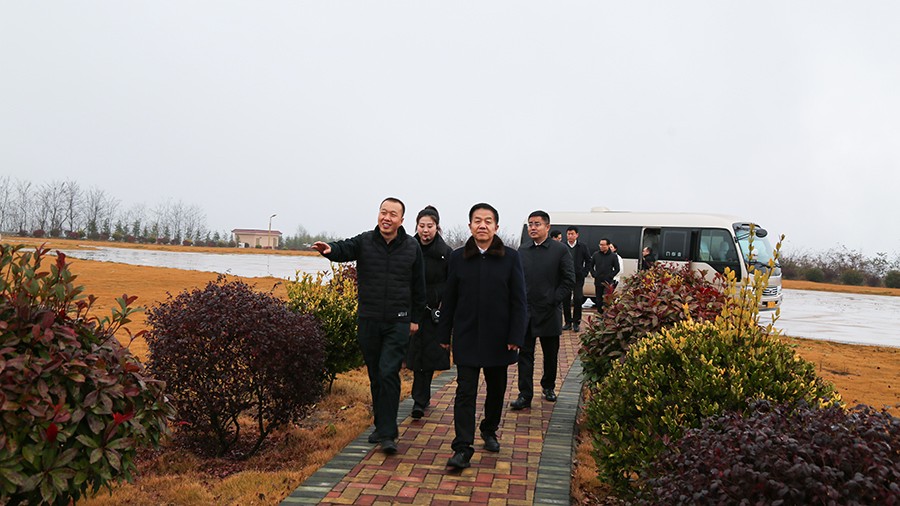 45-2020年12月，省高級人民法院黨組成員、副院長任建國蒞臨金徽股份調(diào)研知識產(chǎn)權(quán)司法保護工作。.jpg